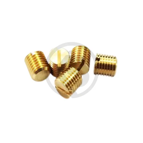 Brass & M.S Screw