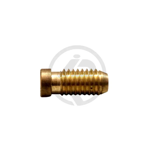 Brass & M.S Screw